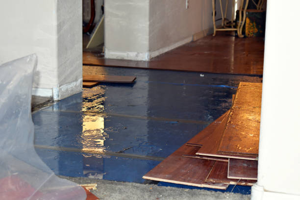 Professional Flood Damage Restoration technician working in Fountain, CO